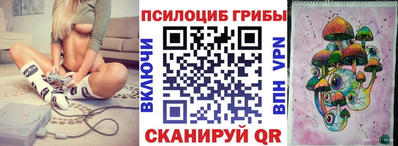 купить наркоту  Ишим  Галлюциногенные грибы Psilocybine cubensis 